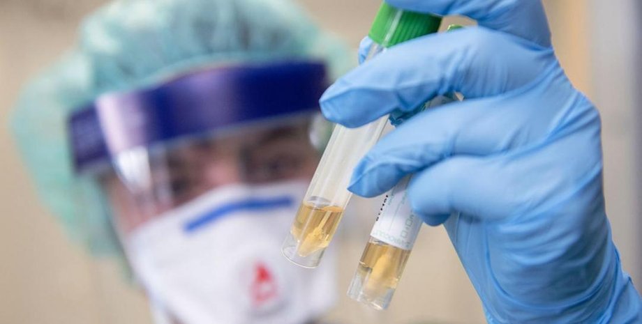 Фото: novostipmr.com