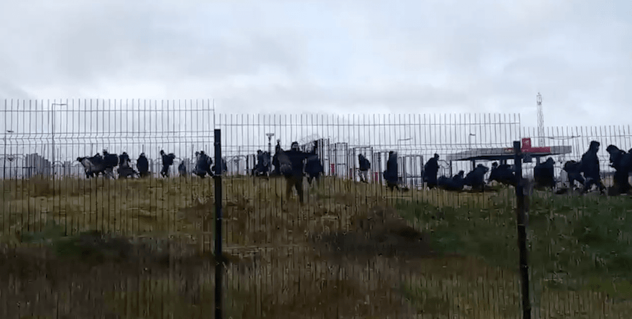 Мигранты, беженцы, Польша, Беларусь, граница, ограждение