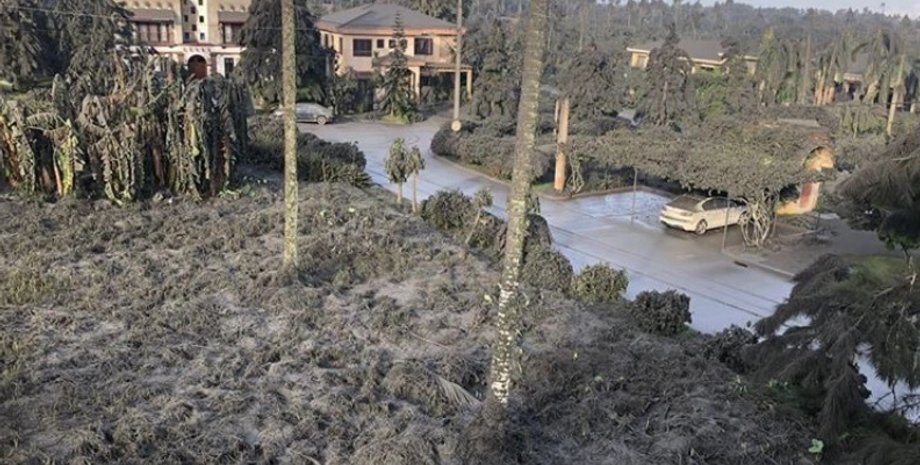 Фото: Anna Ortiz/Vice