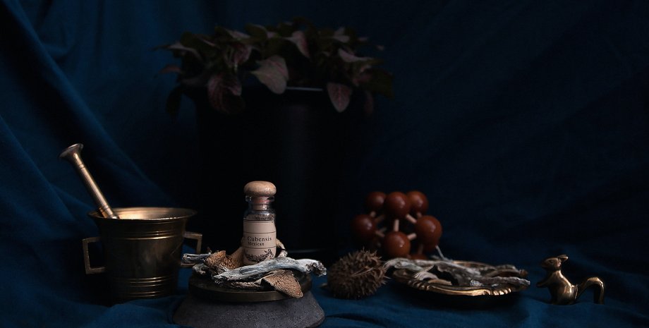 микродозировка, психоделики, токсины, мышьяк, здоровье, яд, галлюцинации, псилоцибин, настроение, опасность, токсичность, вред, доза, эволюция, среда, фармакология, устойчивость, Чили, Австрия, врач