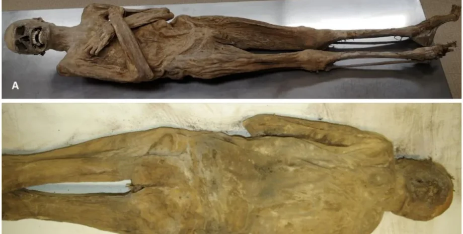 мумия тело мумификация останки викарий