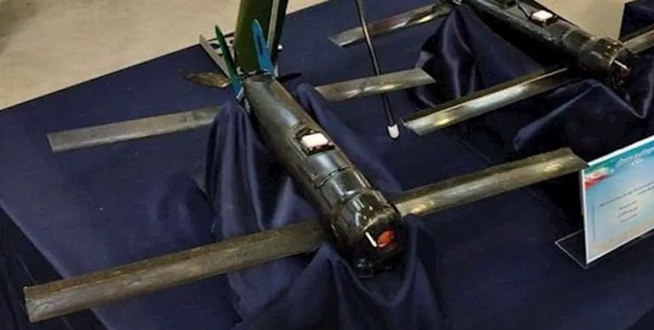 барражирующий боеприпас Sina