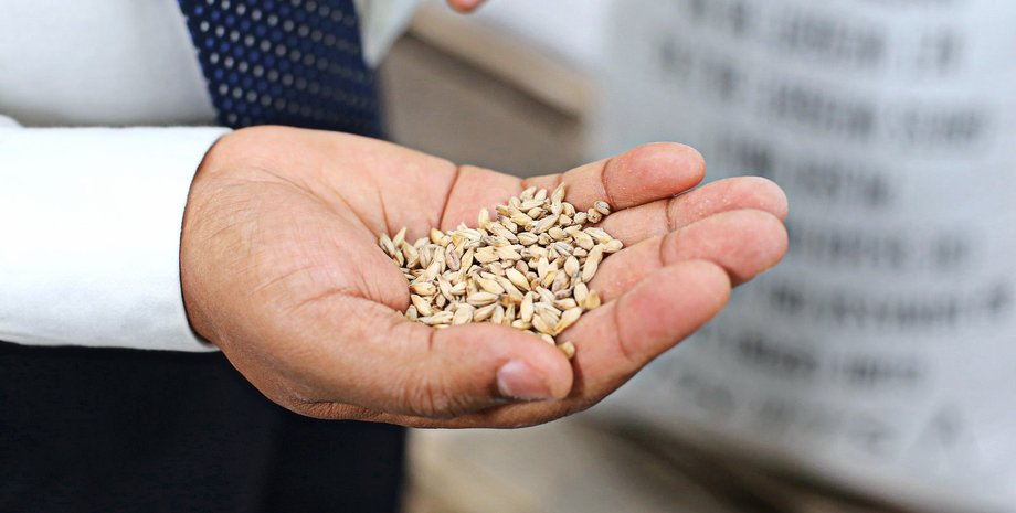 Фото: francediplomatie/flickr.com