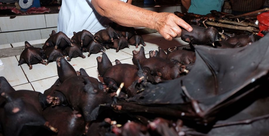 Фото: Getty Images