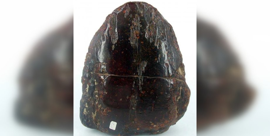 янтарь, румыния, черный янтарь, бузэу