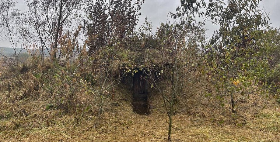 Ситуація в Курській області