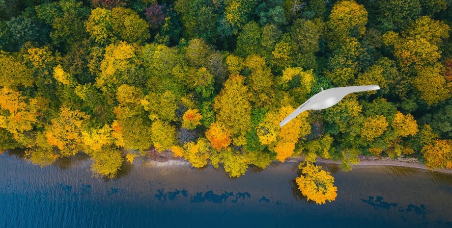 Дрон UAVOS Borey