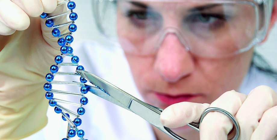 Фото: открытые источники