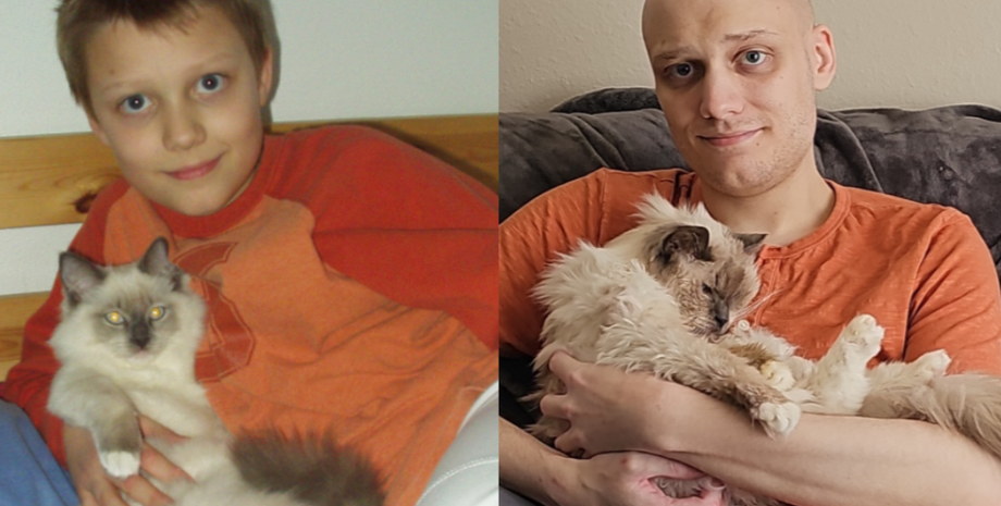 Кот, домашние любимцы, животные, архивные фото, курьезы, Reddit, удивительные истории, США