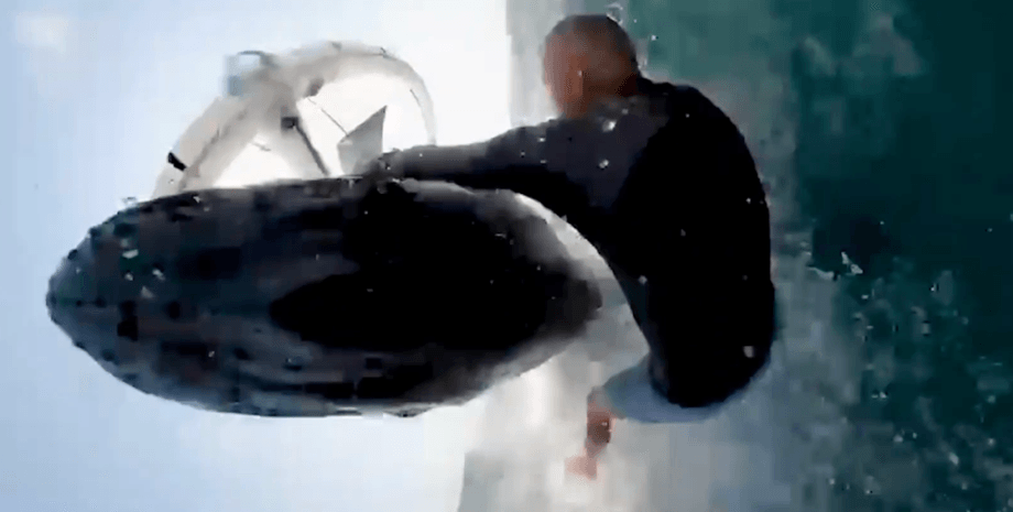 Кит збив чоловіка, дитинча кита, величезний кит, займався віндсерфінгом, вистрибнули з води, знімав прибій, GoPro, потягнуло під воду