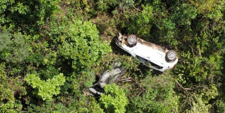 Чоловік після ДТП провів 10 годин у джунглях, як йому вдалося вижити у дикій природі, всі деталі цієї історії