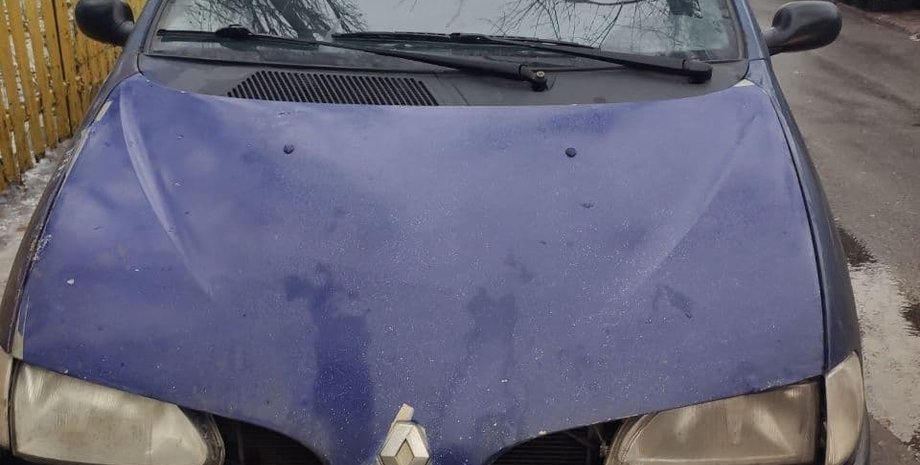 Киев, бабушка, похищение, рено