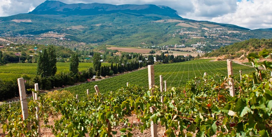 Фото из открытых источников