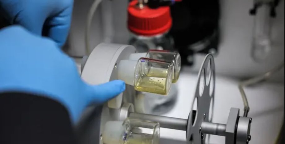 синтетичний ембріон