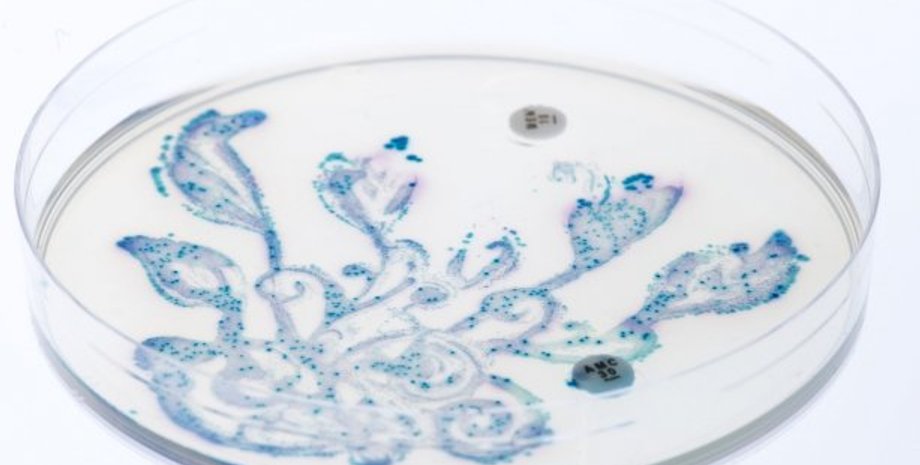 Фото: Facebook/American Society for Microbiology