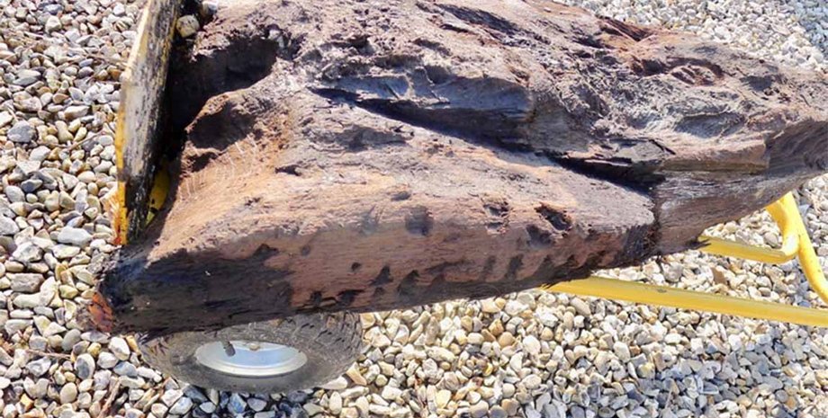 артефакт, раскопки, идол, древесина, торф, болото, находка, древность, неолит, строительство, археология, история, мезолит