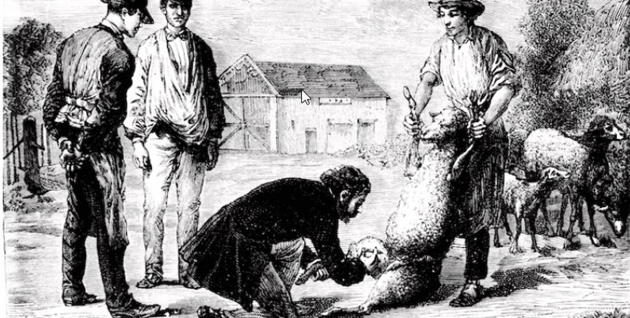 Луи Пастер (1822-1895 гг) является, пожалуй, самым известным в мире микробиологом