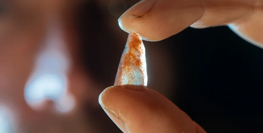 исследования, история, археология, неандертальцы, находка, археология