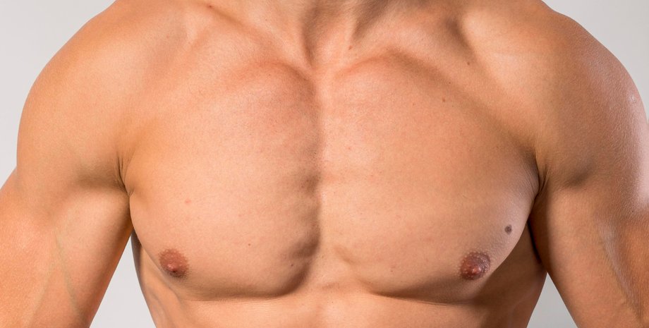 грудна клітка