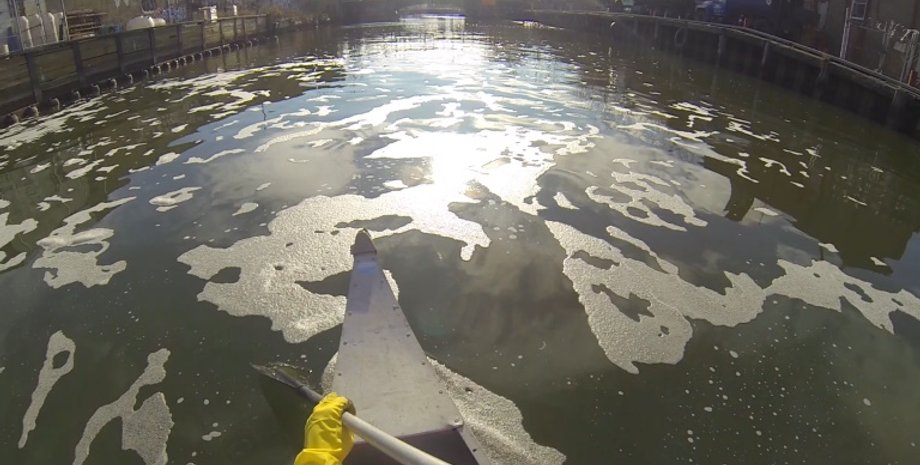 канал, организмы в канале, канал микробы