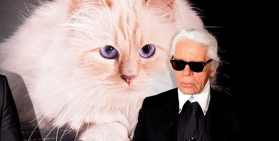 Шупетт, Карл Лагерфельд, кішка