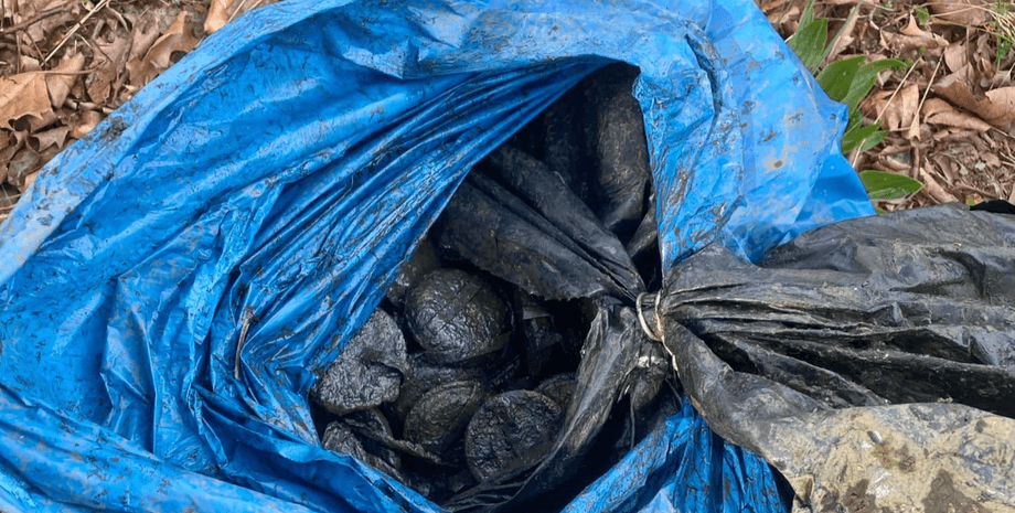 Мужчина во время рыбалки поймал мешок для мусора с большим количеством взрывчатки