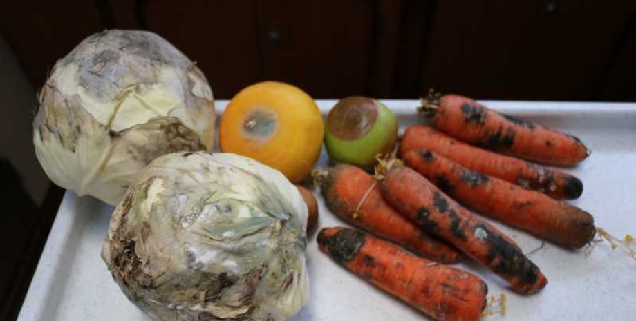 Фото: navigatorpirate - LiveJournal