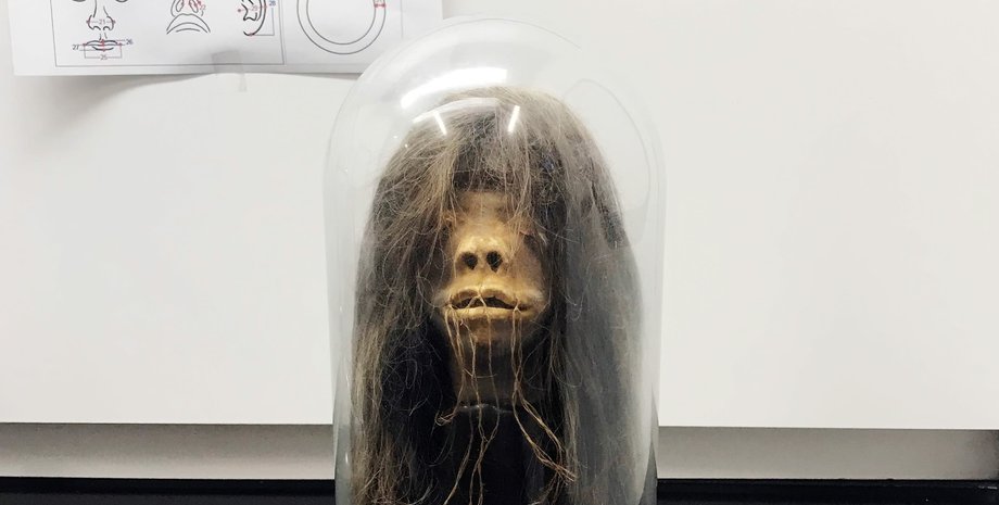 голова, тсантса, Университет Мерсер, фото,