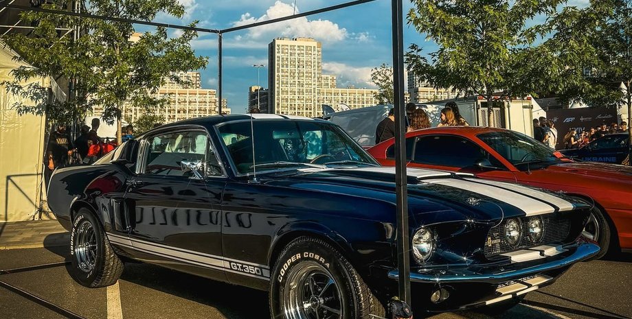 Ford Mustang Shelby GT350, Ford Mustang, Shelby GT350, Ford Mustang 1967, Shelby GT350 1967