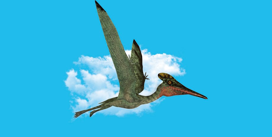 Фото: Getty Images