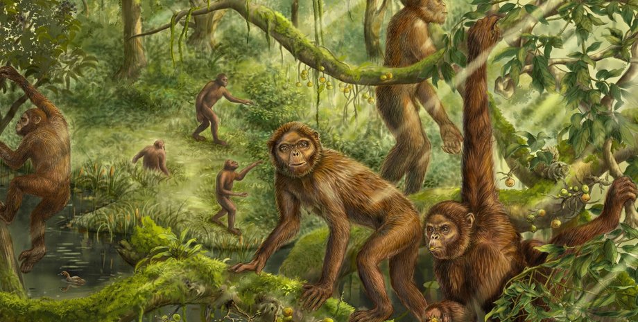 люфенгпитек, обезьяны, прямоходящие