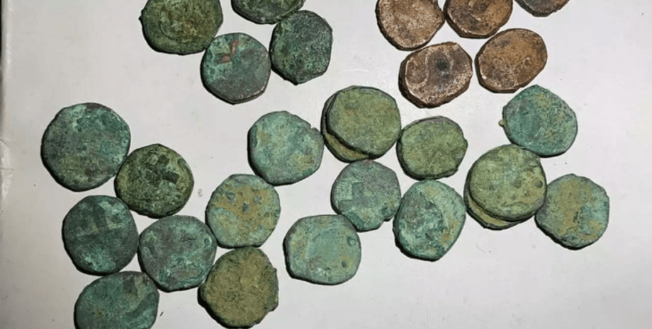 Індія, Гоа, фермер, скарб, монети, Португалія, імперія, спеції, торгівля, знахідка, історія, археологи, археологія, горщик, правління, королівство, колонія