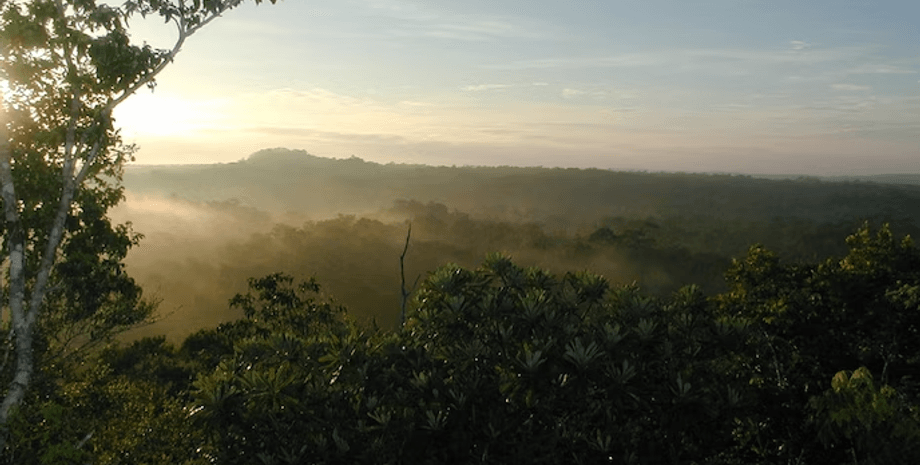 Древний город майя, цивилизация майя, Эль-Мирадор, пирамиды майя, история майя, джунгли Гватемалы, археологическое открытие, древние дороги, лидарная технология, Мексика, майя, исследования, раскопки, города майя