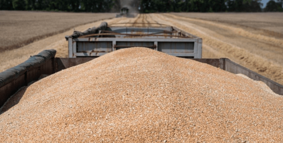 Зерно, ембарго, Польща, експорт зерна