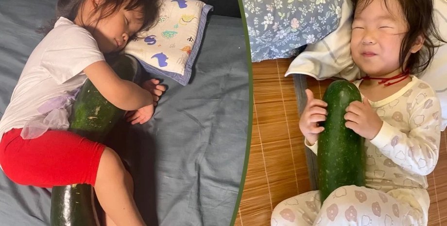 зимняя дыня