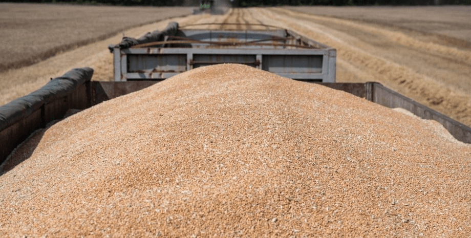 зерно, зерновая сделка, Россия зерновая сделка, Украина зерновая сделка, Африка продовольствие, шантаж продовольствием