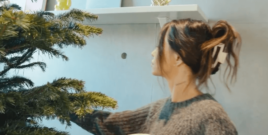 Надя Дорофєєва, де живе Надя Дорофєєва, Надя Дорофєєва квартира, Надя Дорофєєва міша кацурін, різдвяний стіл, Різдво 2023