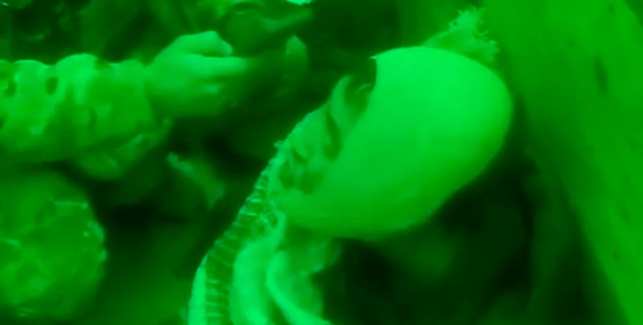 военнопленный, бои в Курской области, допрос