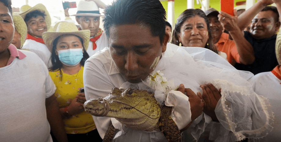 Мэр женился на рептилии, церемония, свадьба, рептилия, принесет удачу его народу, самка, аллигатор, Мексика,