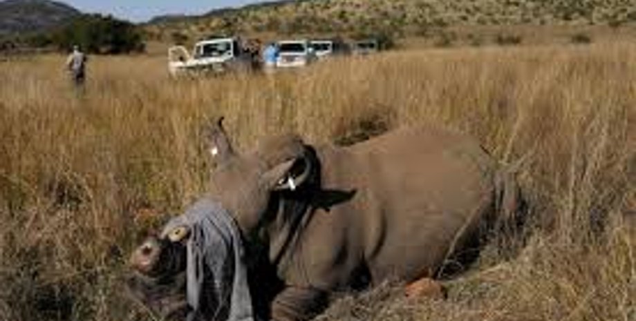 Фото: dailymotion.com