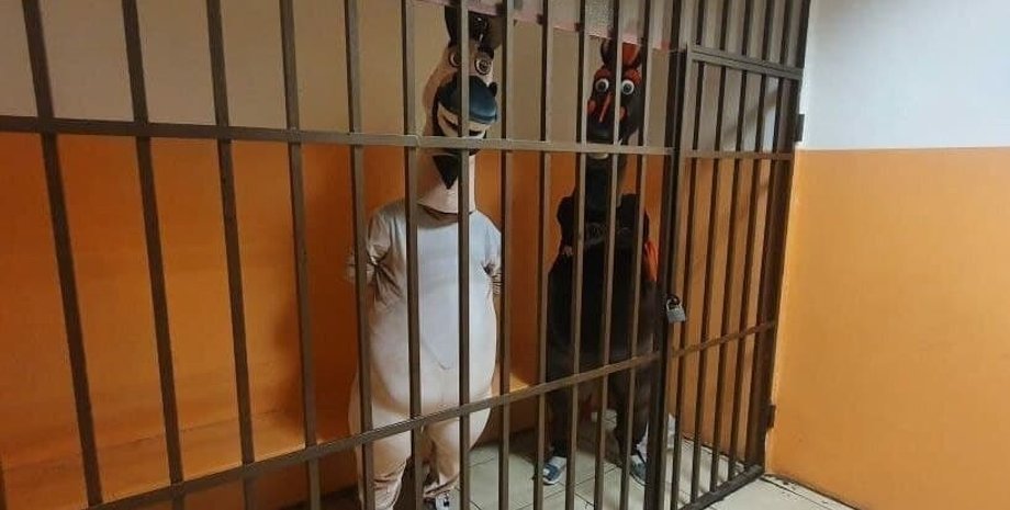 сочи, аниматоры, задержание, вымогательство, попрошайки, россия, попрошайничество, арест, матерились, нецензурная брань