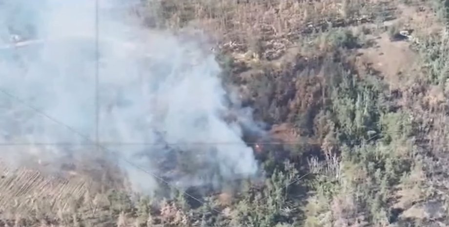 техника рф в лесу