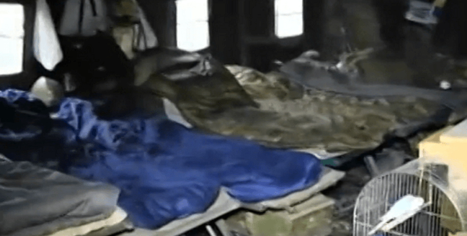 Лагерь ВСУ на полигоне "Широкий лан" / Фото: ТСН