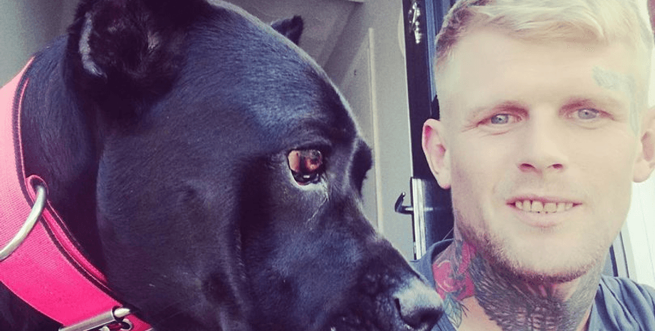 Собака, мужчина, драка, животное