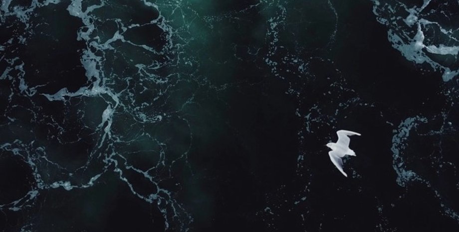 темный океан