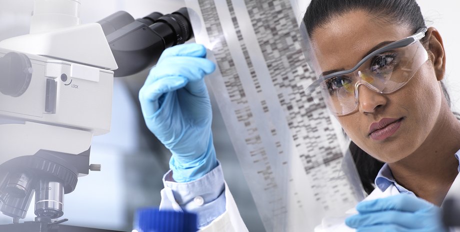 Фото: Westend61/Getty Images