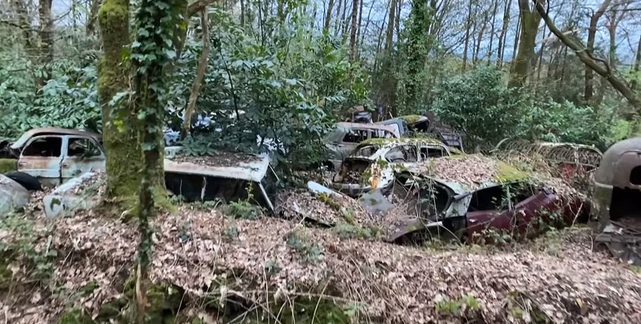 кладбище авто, ретро авто, старинные авто, Citroen DS, Mercedes W110