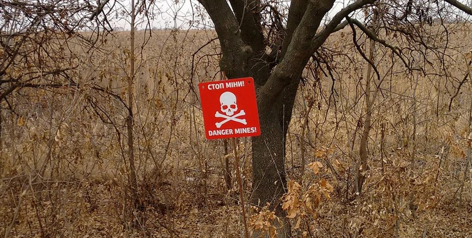Заминированная территория Украины, Украина минирование, Шмыгаль о ситуации в Украине, мины в Украине, минные поля в Украине