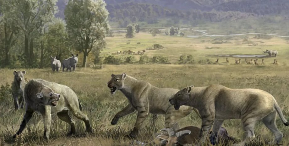 вокалізація шаблезубого тигра, котяча комунікація, анатомія під'язикової кістки, еволюція шаблезубого тигра, ревіння проти муркотіння котів, древні тварини, давні хижаки, механіка вокалізації, історія вокалізації котів