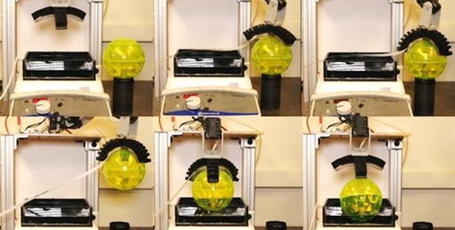 University of California, Davis